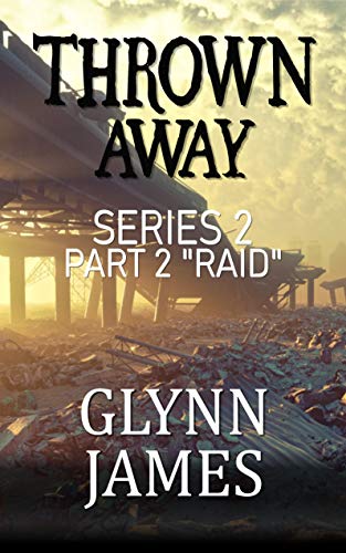 Raid book cover