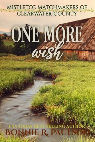 One More Wish cover