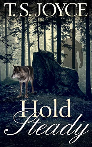 Hold Steady book cover