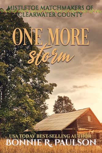 One More Storm cover