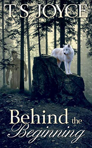 Behind the Beginning book cover