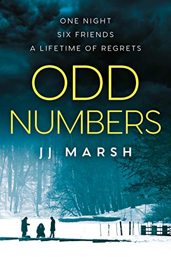 Odd Numbers book cover