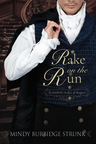 Rake on the Run book cover