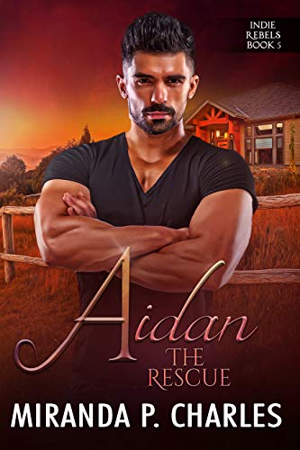 Aidan: The Rescue book cover