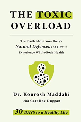 The Toxic Overload book cover