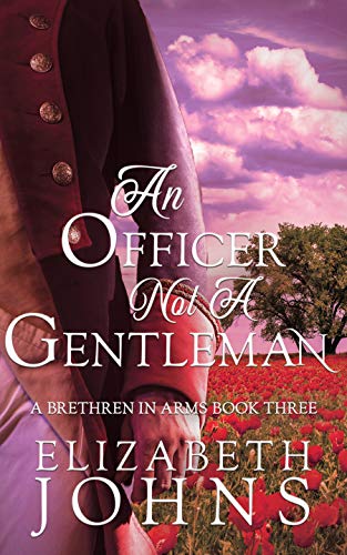 An Officer, Not a Gentleman book cover