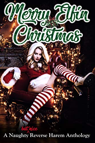 Merry Elfin Christmas book cover