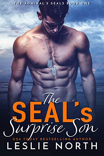 The SEAL's Surprise Son book cover
