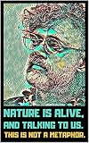 Terence Mckenna A Little Book Of Essential Quotes On Art Nature And Life
