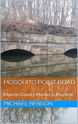 Mosquito Point Road book cover