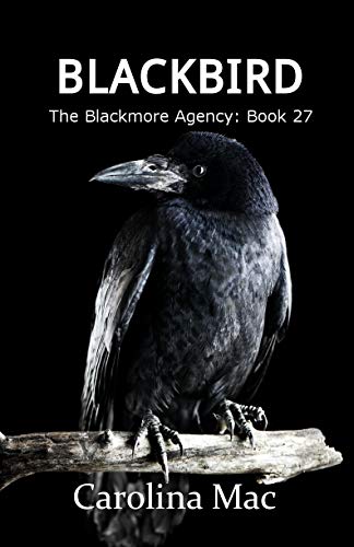 Blackbird book cover