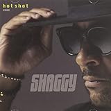 Hot Shot 2020 (2020)