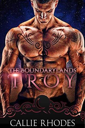 Troy book cover