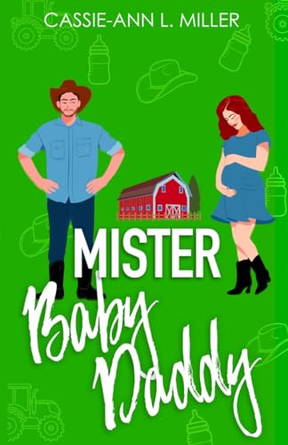 Mister Baby Daddy book cover