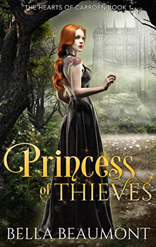 Princess of Thieves book cover