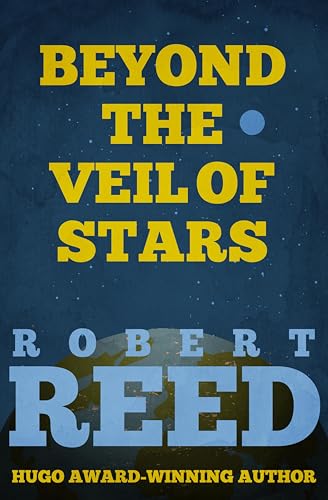 Beyond the Veil of Stars book cover