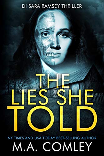 The Lies She Told book cover