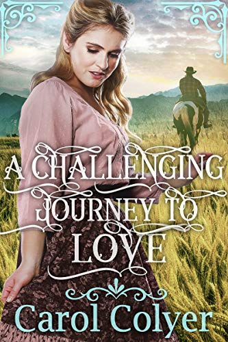 A Challenging Journey to Love book cover