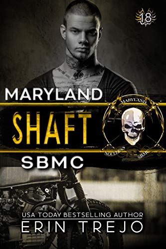 Shaft book cover