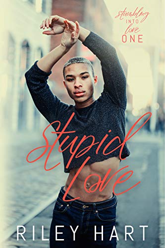 Stupid Love book cover