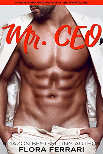 Mr. CEO book cover