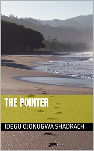 The Pointer book cover