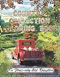 Country Collection Coloring Book For Stressrelief And Relaxation An Adult Coloring Book With Rustic Cabins Charming Interior Designs Beautiful Landscapes And Peaceful Nature Scenes