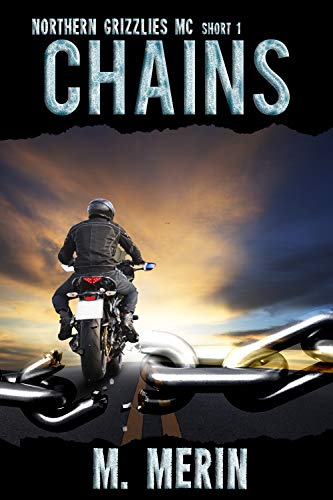Chains book cover
