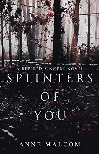 Splinters of You book cover