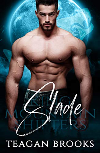 Slade book cover