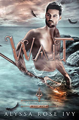 Wait book cover