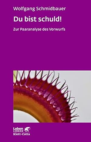 Die Schuld der Eltern Wolfgang Schmidbauer