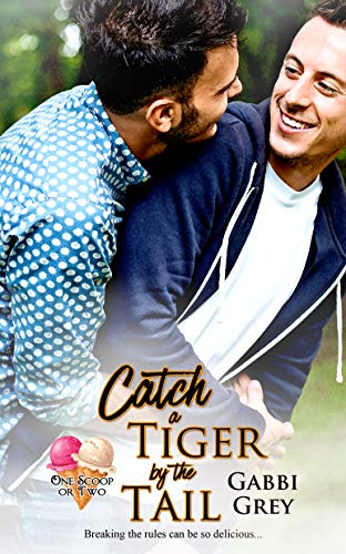 Catch a Tiger by the Tail (By: Gabbi Grey) cover