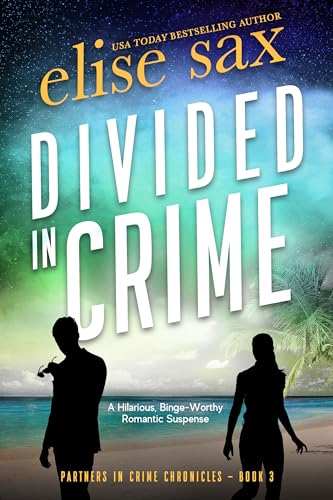 Divided in Crime book cover