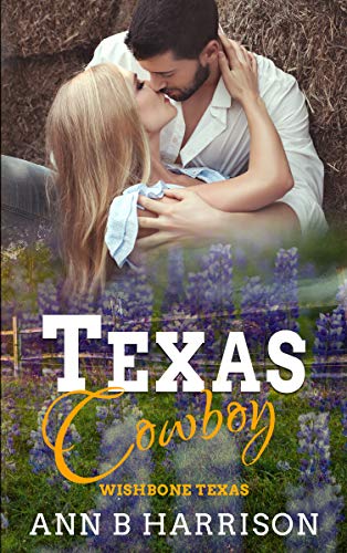 Texas Cowboy book cover