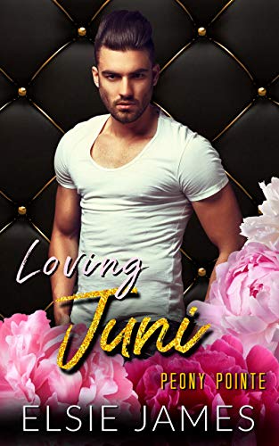 Juni book cover