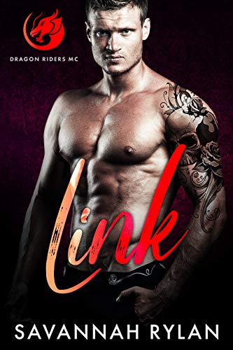 Link book cover