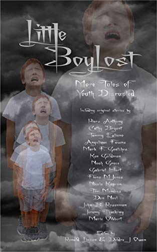 Little Boy Lost: More Tales of Youth Disrupted book cover