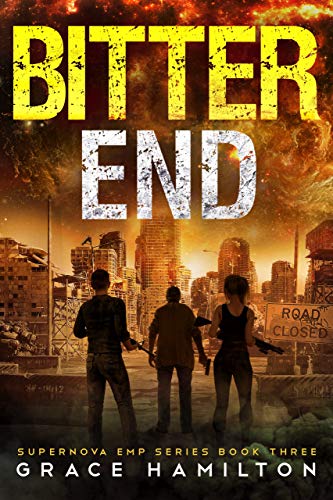 Bitter End book cover