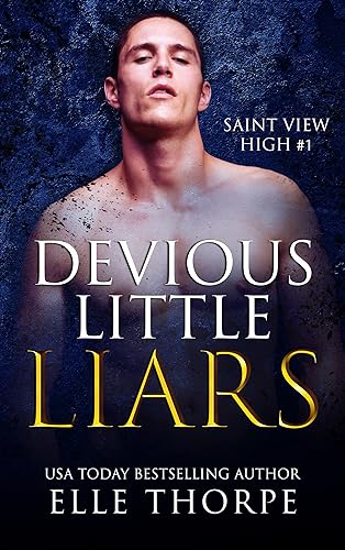 Devious Little Liars book cover