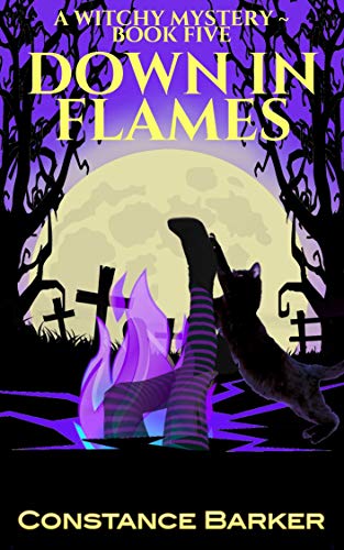 Down in Flames book cover