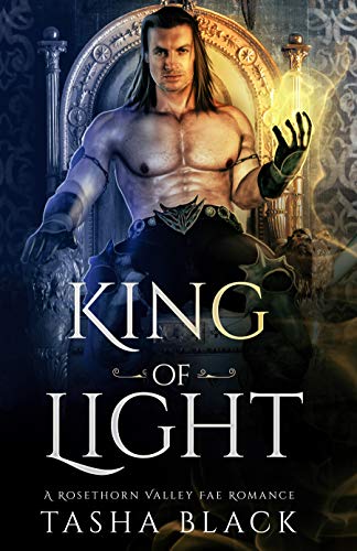 King of Light book cover