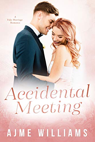 Accidental Meeting book cover
