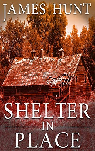 Shelter In Place book cover
