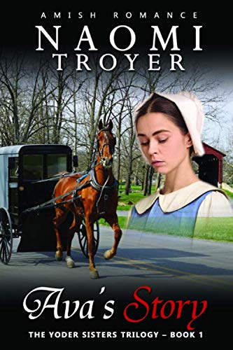 Ava's Story book cover