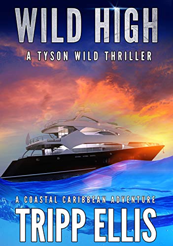 Wild High book cover