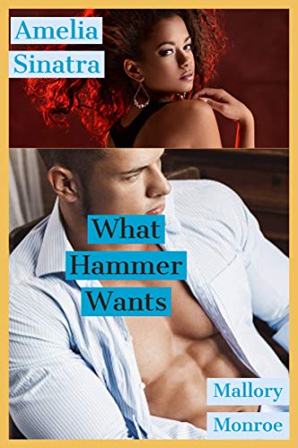 What Hammer Wants book cover