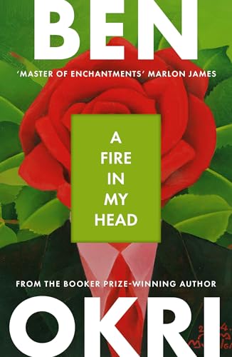 A Fire in My Head book cover