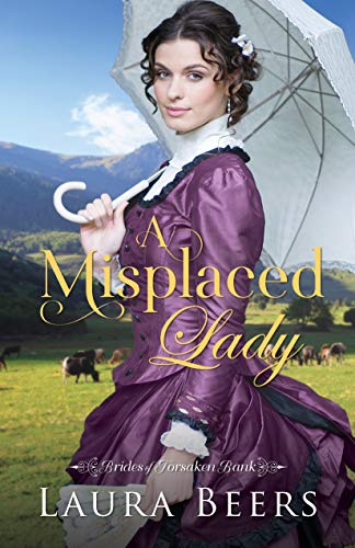 A Misplaced Lady book cover