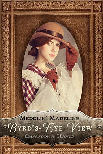 Byrd's-Eye View book cover